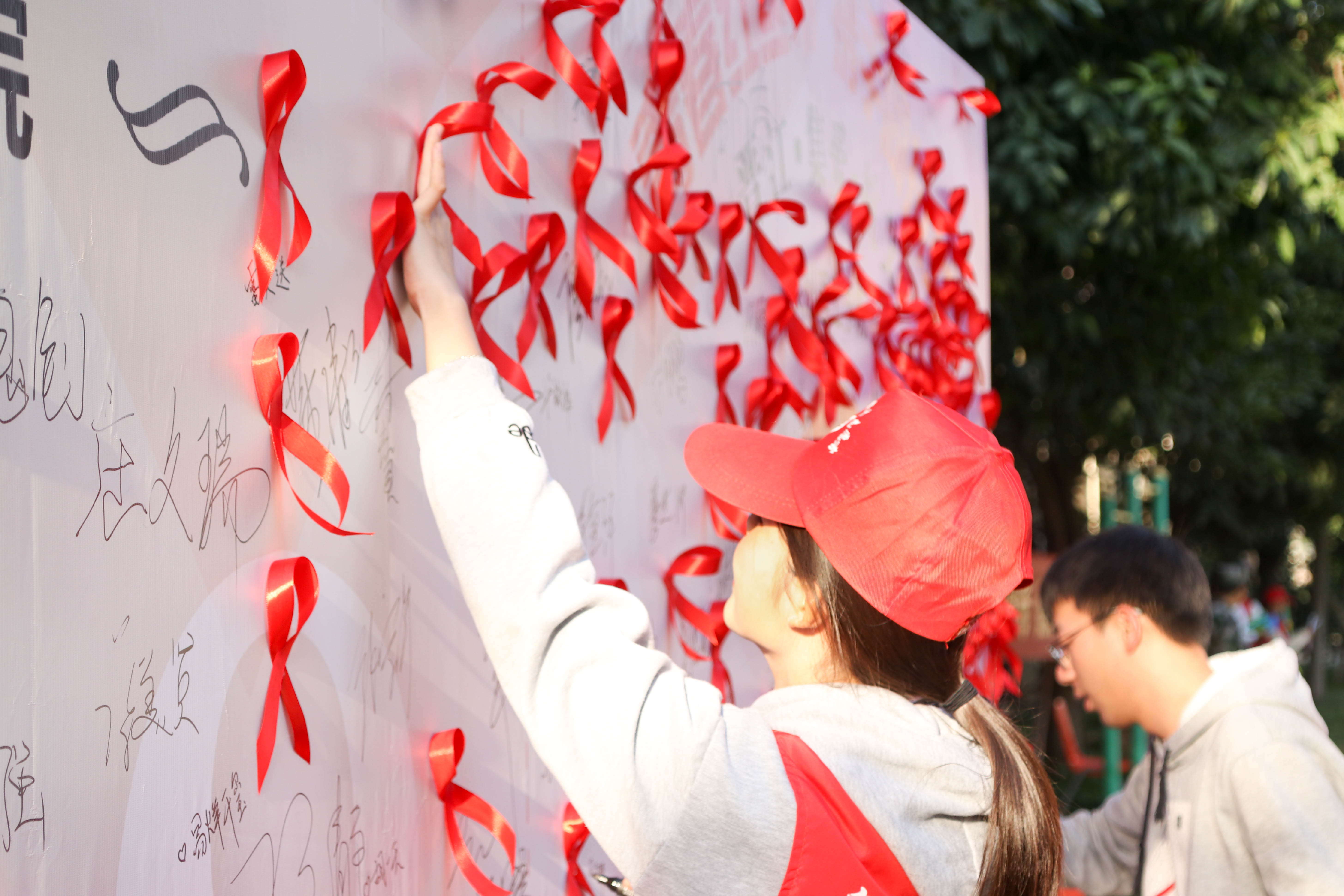 IMG_6338.jpg IMG_6338.jpg